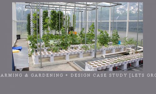 Aquaponics Farming & Gardening + Design Case Study [Lets Grow Malaysia] |