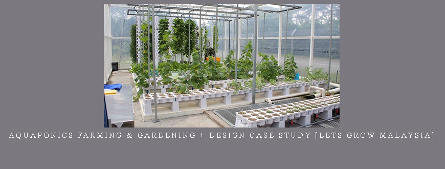 Aquaponics Farming & Gardening + Design Case Study [Lets Grow Malaysia]