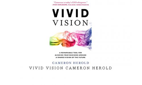 Vivid Vision Cameron Herold |