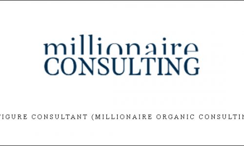 6 Figure Consultant (Millionaire Organic Consulting) |