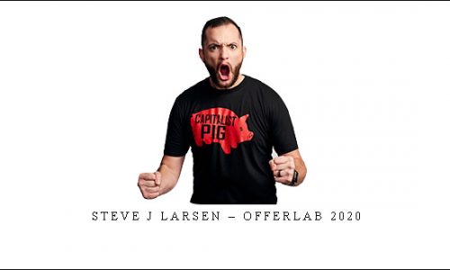 Steve J Larsen – OfferLab 2020 |