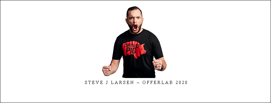 Steve J Larsen – OfferLab 2020