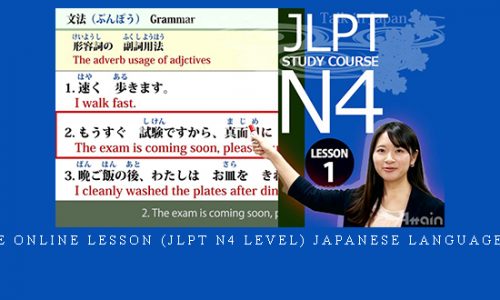 Japanese online lesson (jlpt n4 level) Japanese language course |