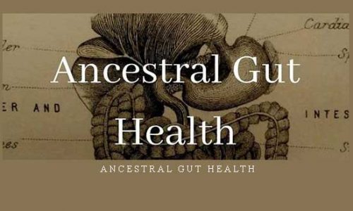 Ancestral Gut Health |