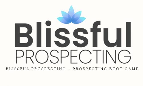 Blissful Prospecting – Prospecting Boot Camp |