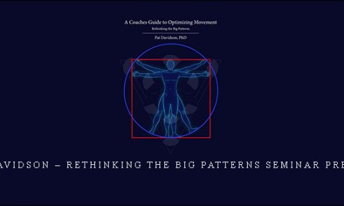 Dr. Pat Davidson – Rethinking The Big Patterns Seminar Presentation |