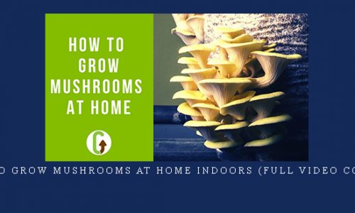 How To Grow Mushrooms At Home Indoors (Full Video Course) |