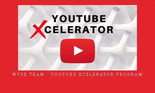 Wyse Team – YouTube Xcelerator Program |