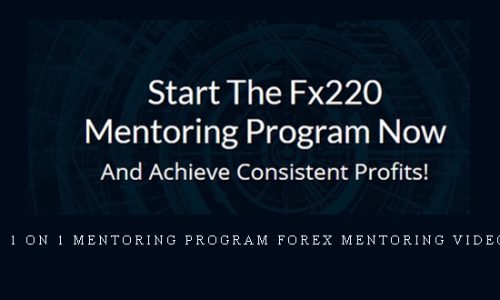 The Fx220 1 On 1 Mentoring Program Forex Mentoring Video Course |