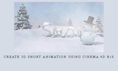 Create 3D short animation using Cinema 4D R18 |