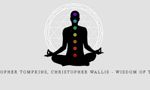 Christopher Tompkins, Christopher Wallis – Wisdom Of Tantra |