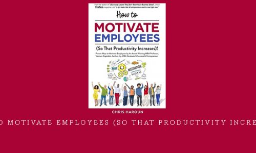 Chris Haroun – How to Motivate Employees (So That Productivity Increases)! |
