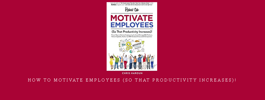 Chris Haroun – How to Motivate Employees (So That Productivity Increases)!