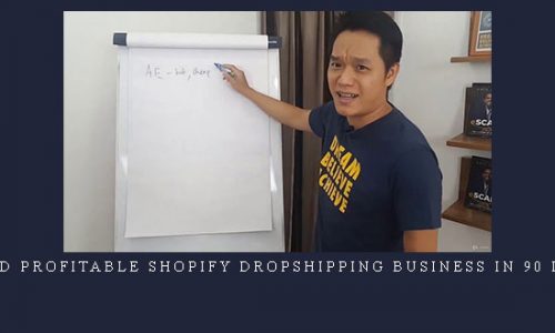 Build Profitable Shopify Dropshipping Business In 90 Days |