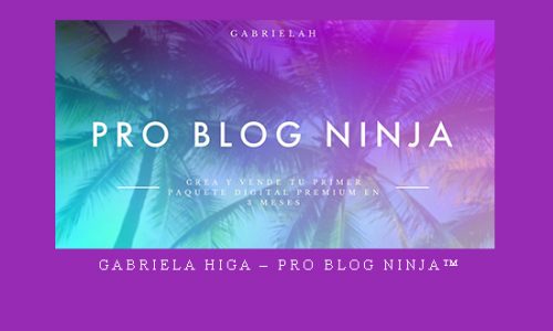 Gabriela Higa – Pro Blog Ninja™ |