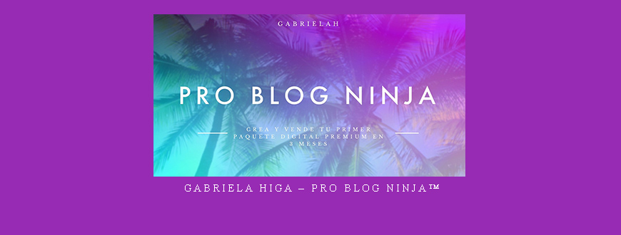Gabriela Higa – Pro Blog Ninja™