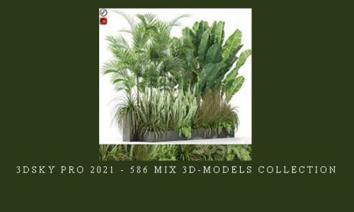 3DSky Pro 2021 – 586 Mix 3D-Models Collection |