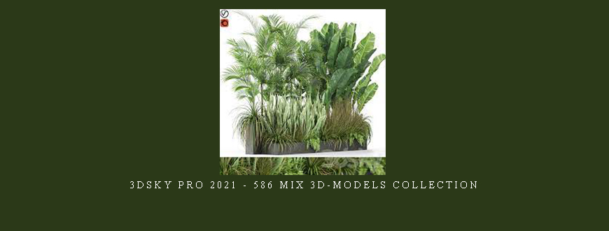 3DSky Pro 2021 – 586 Mix 3D-Models Collection