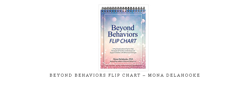 Beyond Behaviors Flip Chart – Mona Delahooke