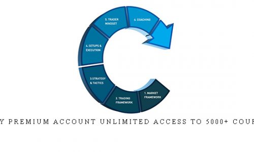 OpenTrader – Professional Training Program  Trading Video Course  open trader |