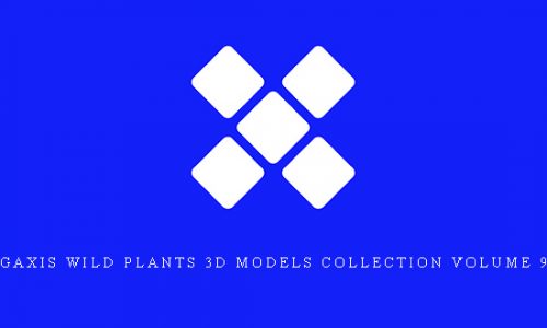 CGAxis Wild Plants 3D Models Collection Volume 91 |