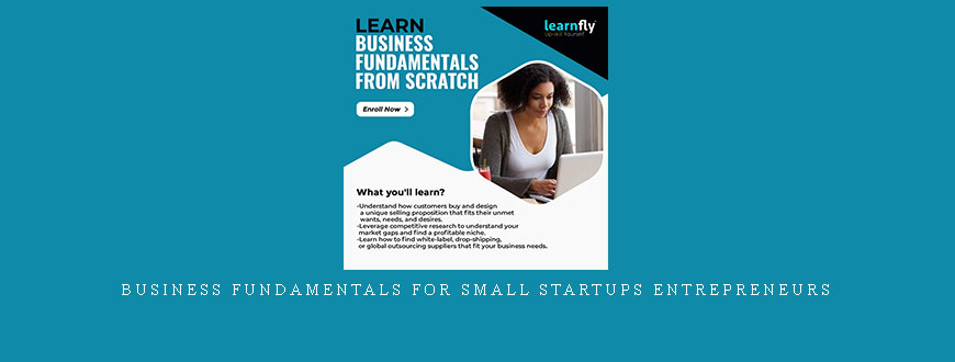 Business Fundamentals For Small Startups Entrepreneurs