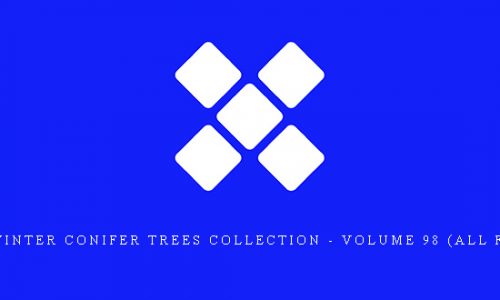CGAxis Winter Conifer Trees Collection – Volume 98 (All formats) |