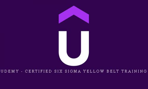 Udemy – Certified Six Sigma Yellow Belt Training |
