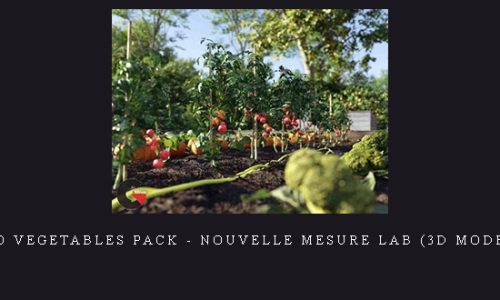 Bio Vegetables Pack – Nouvelle Mesure Lab (3d model) |