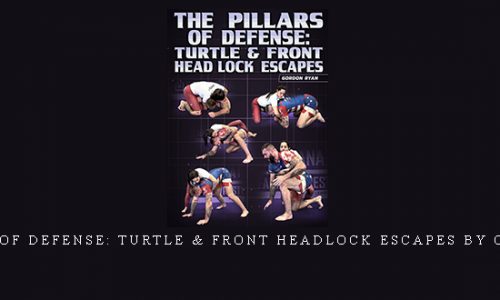 The Pillars of Defense: Turtle & Front Headlock Escapes by Gordon Ryan |