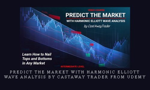 Predict the Market with Harmonic Elliott Wave Analysis by CastAway Trader from Udemy |