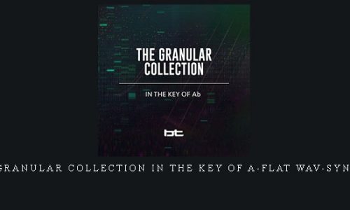 BT The Granular Collection In The Key Of A-Flat WAV-SYNTHiC4TE |