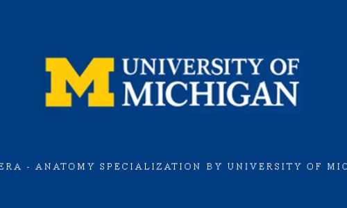 Coursera – Anatomy Specialization by University of Michigan |