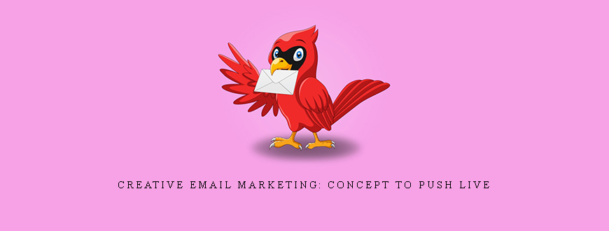 Creative Email Marketing: Concept to Push Live
