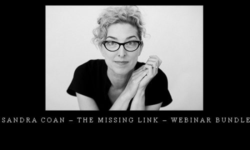 Sandra Coan – The Missing Link – Webinar Bundle |
