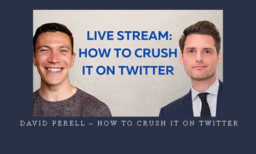 David Perell – How to Crush it on Twitter |