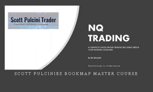 Scott Pulcinies Bookmap Master Course |