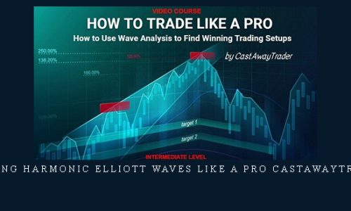 Trading Harmonic Elliott Waves like a PRO CastAwayTrader |