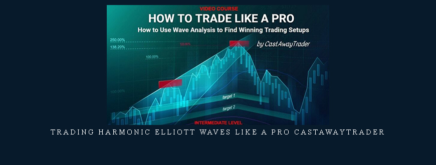 Trading Harmonic Elliott Waves like a PRO CastAwayTrader