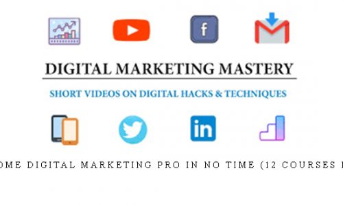 Become Digital Marketing PRO in NO TIME (12 Courses in 1) |