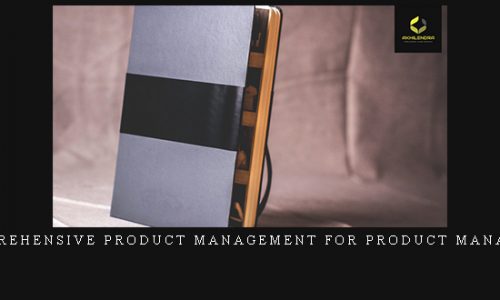 Akhilendra Singh MBA – Comprehensive Product management for Product managers |