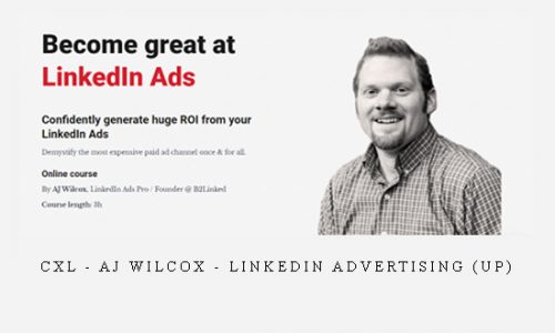 CXL – AJ Wilcox – LinkedIn Advertising (UP) |