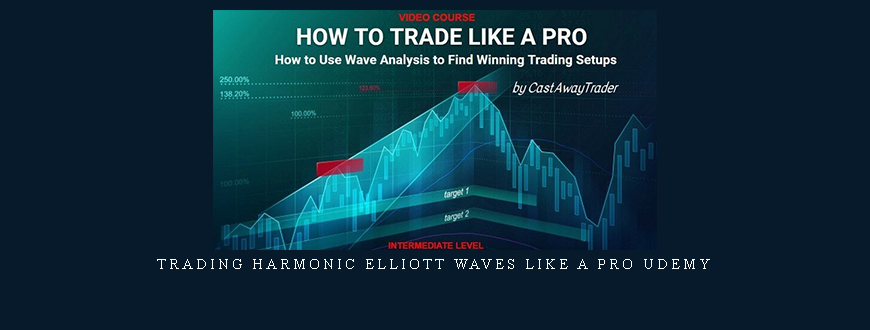 Trading Harmonic Elliott Waves like a PRO udemy