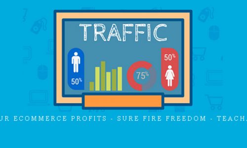 8 Hour eCommerce Profits – Sure Fire Freedom – Teachable |