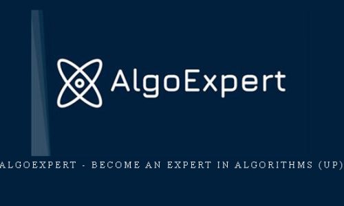 Algorithm Trading Robots Without Programming 17 Hrs MT5 |