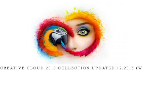 Adobe Creative Cloud 2019 Collection Updated 12.2018 (Win x64) |
