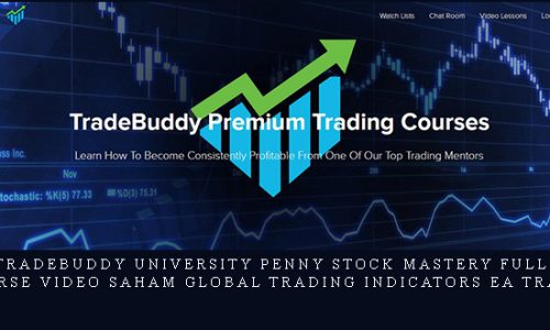 TradeBuddy University Penny Stock Mastery Full Video Course video saham global trading indicators ea Trade Buddy |