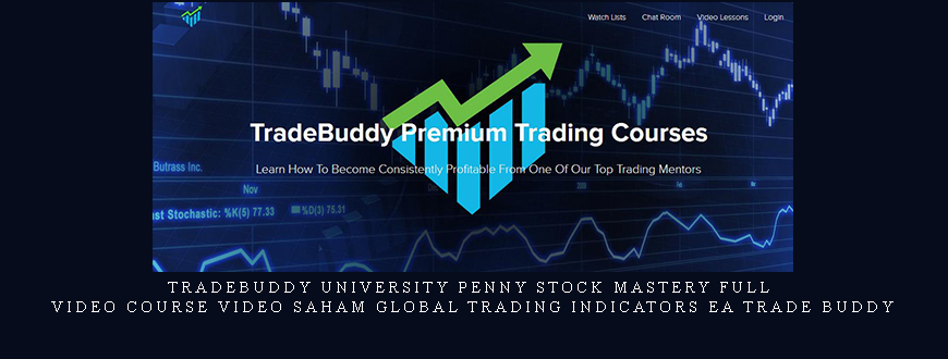 TradeBuddy University Penny Stock Mastery Full Video Course video saham global trading indicators ea Trade Buddy