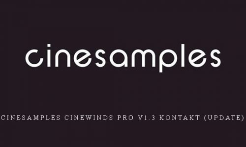 Cinesamples CineWinds PRO v1.3 KONTAKT (Update) |