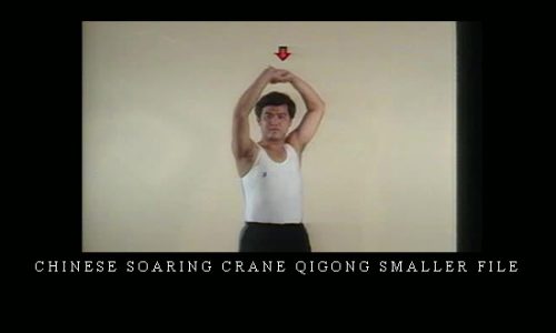 Chinese Soaring Crane Qigong Smaller File |